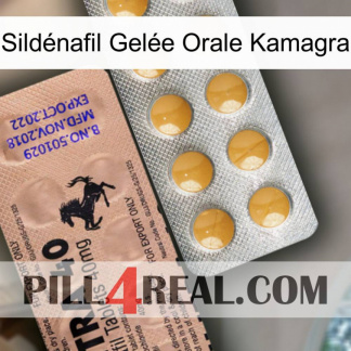 Sildénafil Gelée Orale Kamagra 41